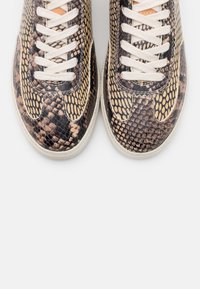 Scotch & Soda LAURITE - Sneaker low - camel