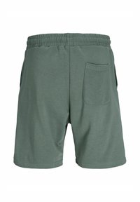 Jack & Jones JPSTKANE VESTERBRO - Tracksuit bottoms - laurel wreath