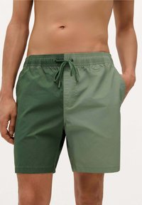 Groene zwemshorts met een verloopontwerp, voorzien van een elastische tailleband, koord en zijzakken. Materiaal lijkt lichtgewicht te zijn.