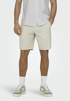 ONSLEO LIFE SEERSUCKER NOOS - Short - silver lining