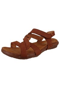 El Naturalista Mules - wood