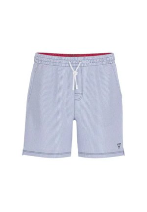 Lichtblauwe en witte verticaal gestreepte zwembroek voor mannen met elastische tailleband en wit trekkoord, klein logo op linkerbeen.