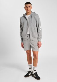 Grijze zip-up hoodie met een wit logo en chevronaccenten, gecombineerd met grijze shorts. Voorzien van zwarte sneakers en gestreepte witte sokken.