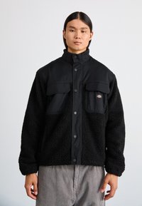 Dickies BUILT UP MOUNT HOPE - Veste d'hiver - black