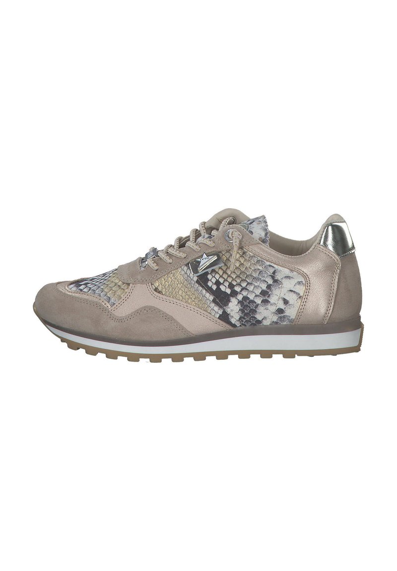 Cetti SNEAKER LOW - Trainers - dessert