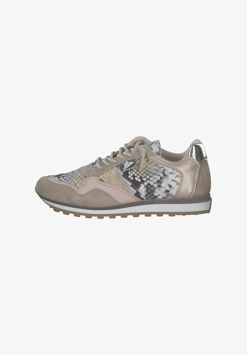 Cetti SNEAKER LOW - Trainers - dessert