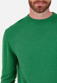 Mann mit heller Haut und kurzem rotem Bart, der einen grünen Pullover mit Rundhalsausschnitt vor weißem Hintergrund trägt.