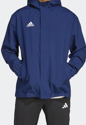 Personne portant une veste à capuche bleue Adidas avec les mains dans les poches et un pantalon noir Adidas, sur un fond uni clair.