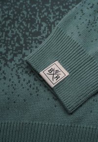 Band of Rascals Neule - racing green