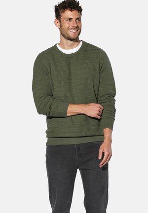 FLOREVARA - Strickpullover - grün