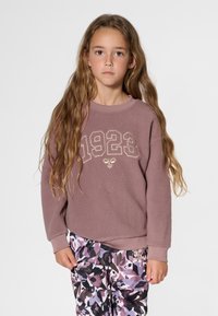 Brown fleece sweatshirt with "1923" embroidery, round neckline, and long sleeves. Paired with patterned purple and brown pants.
