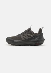 Salomon - ELIXIR ACTIV GTX - Hiking shoes - phantom/black/magnet Thumbnail Image 1