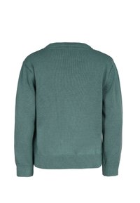 Türkisfarbener Strickpullover mit Rundhalsausschnitt und langen Ärmeln. Mit gerippten Bündchen und Saum, der einen strukturierten, glatten Stoff präsentiert.