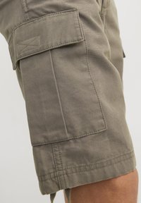 Jack & Jones JPSTCOLE BARKLEY SHORTS - Shorts - bungee cord
