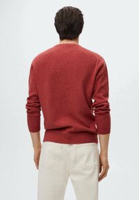 Maglione rosso a maglia con maniche lunghe, scollo rotondo e polsini a costine. Indossato sopra pantaloni chiari, visto da dietro.