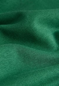 Zelená látka s hladkým povrchom a jemným rebrovaním, zobrazujúca záhyby a tiene pri rôznom osvetlení.