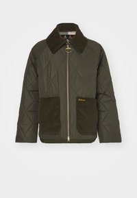 Neselectat, olive/ancient