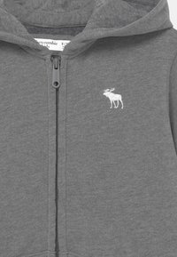 Abercrombie & Fitch Sweat zippé - grey