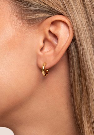 Gros plan sur une oreille gauche à la peau lisse et aux cheveux clairs, ornée d'une petite boucle d'oreille en or brillante.