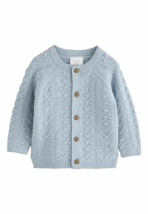 Lichtblauwe gebreide babycardigan met een gestructureerd patroon en vijf houten knopen aan de voorkant, lange mouwen en een ronde hals.