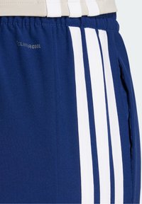 Blue athletic shorts with white vertical stripes, featuring a ClimaCool logo, elastic waistband, and smooth fabric texture.