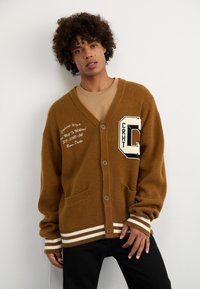 Carhartt WIP DUCKS - Cardigan - hamilton/wax