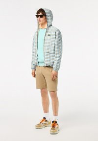 Lacoste UNISEX - Sweatshirt - vert clair