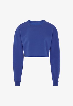 Beskaaret sweatshirt i ensfarvet blå, med lange ærmer, rund halsribkant og ribbede manchetter, lavet af blød, strækbar stof.