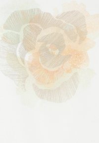 Helles florales Design mit einer sanften Pfirsich- und Graurose auf weißem Hintergrund. Die Blütenblätter haben strukturierte, feine Linien und einen subtilen Schimmer.