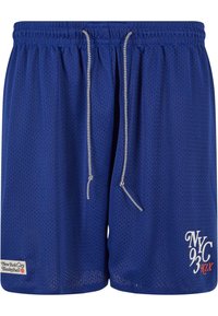 Blå mesh basketballshorts med elastisk midje, hvit snor og "NYC 93" grafikk i hvitt og rødt. Inkluderer en logoetikett.