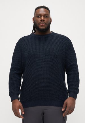 JJGLOBAL CREW NECK  - Trui - sky captain