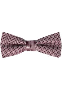 WILLEN SET - Einstecktuch - bordeaux