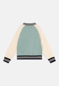 Petit Bateau JUNIOR UNISEX - Majica s kapuljačom i patentnim zatvaračem - avalanche