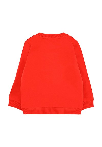 Felpa rossa con collo rotondo a costine e polsini. Presenta una texture liscia e una vestibilità rilassata, mostrata dalla vista posteriore.