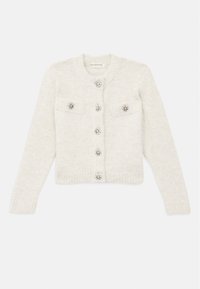 JULEE CARDIGAN - Cardigan - silver-coloured/white