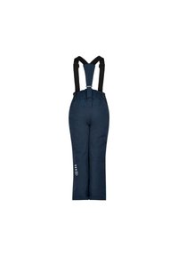 Pantaloni da neve blu navy con bretelle nere regolabili, vita elastica e dettaglio logo sulla gamba sinistra. Materiale resistente che offre calore e protezione.