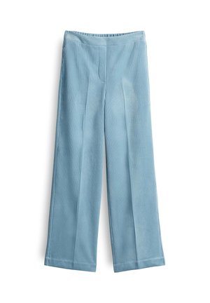 Lichtblauwe corduroy wijdere broeken met verticale ribbeltextuur, elastische tailleband en een relaxte pasvorm. Geen zichtbare zakken of versieringen.