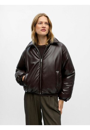 PUFFER  BESCHICHTETE - Winter jacket - seal brown