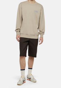 Felpa beige con logo "DICKIES", pantaloni corti marroni, scarpe da ginnastica bianche e grigie, calze bianche con strisce blu. Outfit semplice e informale.