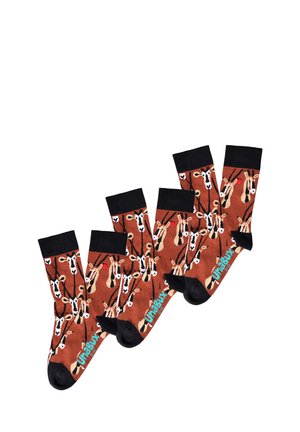 3-PACK GRUMBLE IN THE JUNGLE - Ponožky - braun