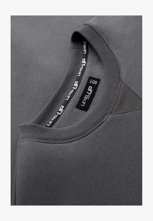 Grijze sweatshirt met een geribbelde ronde hals, textuurdetail en een gestikt logolabel aan de binnenkant van de kraag. Glad stoffen textuur.