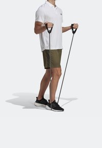 adidas Performance Urheilushortsit - olive