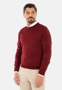 Uomo con capelli scuri e barba che indossa una camicia bianca con colletto sotto un maglione bordeaux e pantaloni beige, in piedi davanti a uno sfondo chiaro e uniforme.