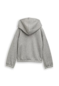 Grijze cropped hoodie gemaakt van zacht materiaal, met een capuchon, elastische mouwen en een gladde textuur. De achterkant toont geen extra details.
