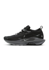 Zwarte Nike Trail ATC schoenen met een gestructureerde bovenkant, grijze accenten, een gevoerde zool en een waterdichte GORE-TEX-label aan de zijkant.