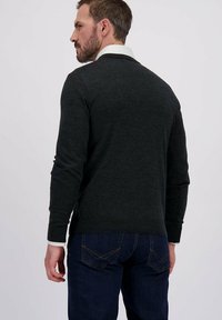 Man met kort haar en een baard, gekleed in een donker trui over een wit overhemd met kraag en donkerblauwe spijkerbroek, van achter af gezien tegen een effen achtergrond.