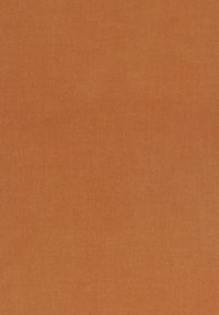 Tekstuuriga oranž kangas, mis sarnaneb puuvillaga, sujuva viimistlusega ja ühtlase, ühtlase värviga. Sobib erinevateks tekstiilirakendusteks.