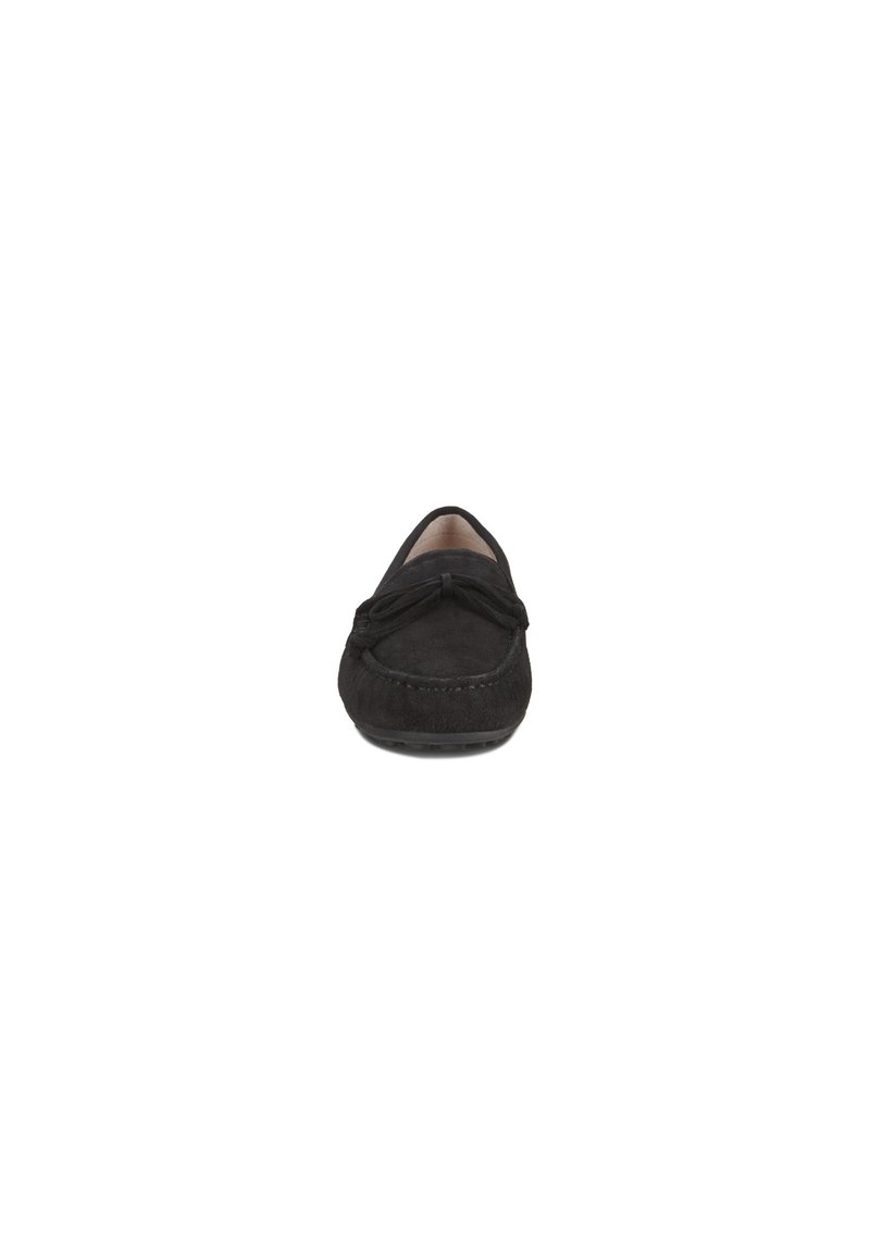 ecco devine moc