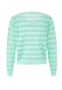 Pullover a righe verde chiaro con vestibilità rilassata, realizzato in materiale trasparente, con scollatura rotonda e maniche lunghe.