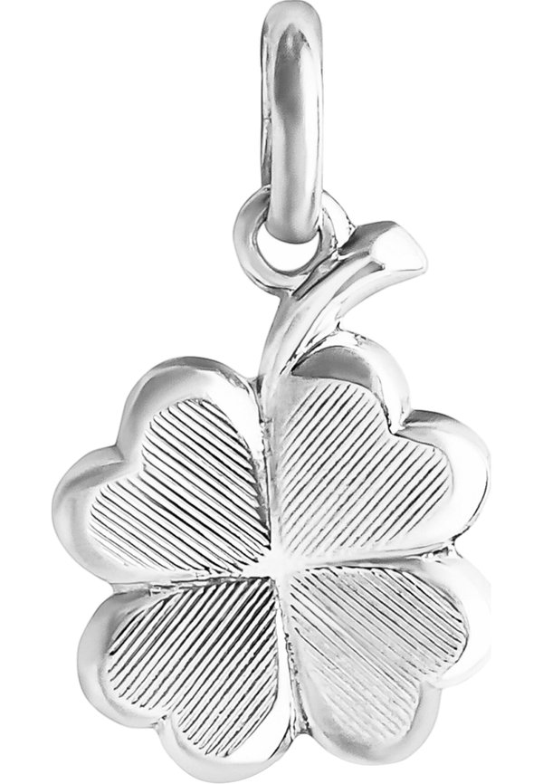 HANGERS - Anhänger - zilveren kleur